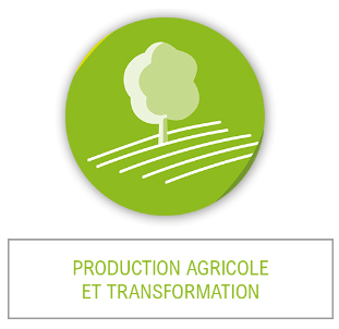 Production agricole et transformation